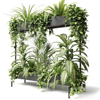 现代盆栽 绿植盒 绿植隔断